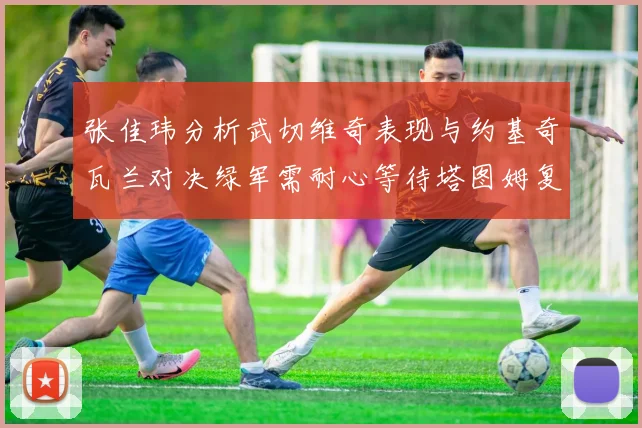 张佳玮分析武切维奇表现与约基奇瓦兰对决绿军需耐心等待塔图姆复出