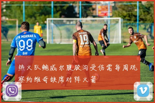 热火队鲍威尔腹股沟受伤需每周观察约维奇缺席对阵火箭