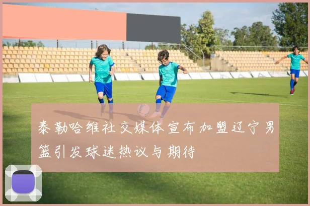 泰勒哈维社交媒体宣布加盟辽宁男篮引发球迷热议与期待